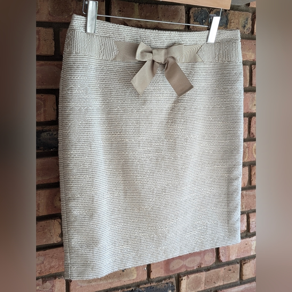 LOFT Ann Taylor Skirt - Picture 2 of 12